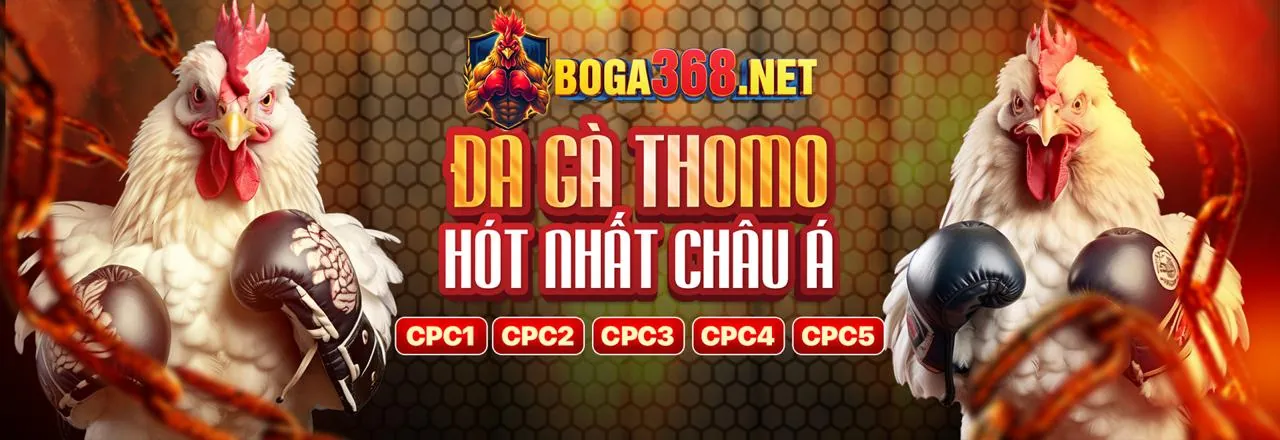 Đá gà trực tuyến 88clup App